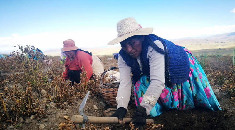 El Niño: FAO’s updated Anticipatory Action and Response Plan urgently requires $160 million to support over 4.8 million people through March 2024