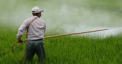 Government of Odisha bans agrochemical Paraquat
