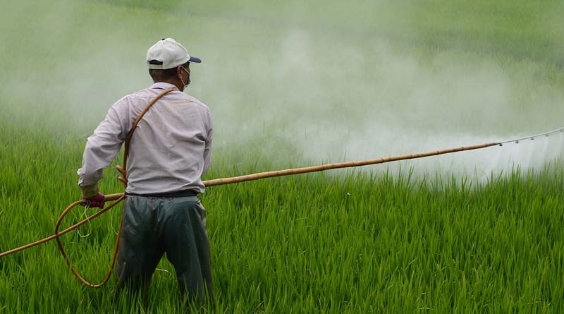 Government of Odisha bans agrochemical Paraquat