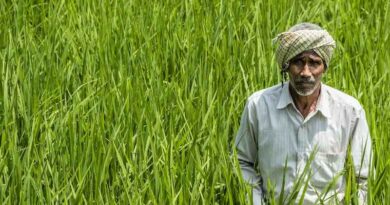 Will India have Food Security in 2047?