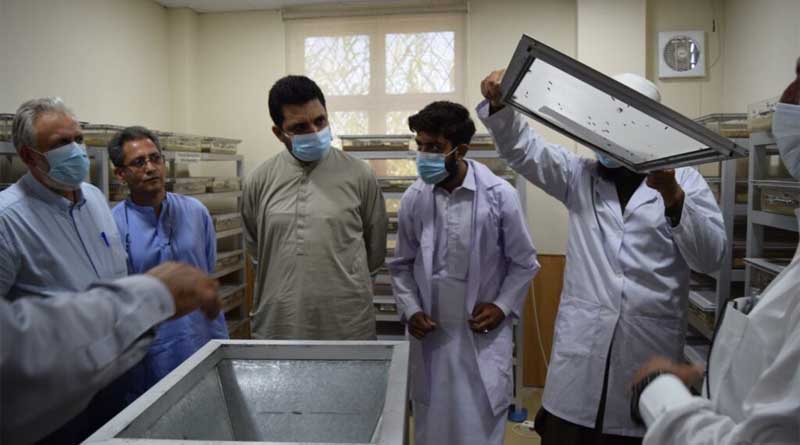 Trichogramma mass rearing facilities piloted in Pakistan