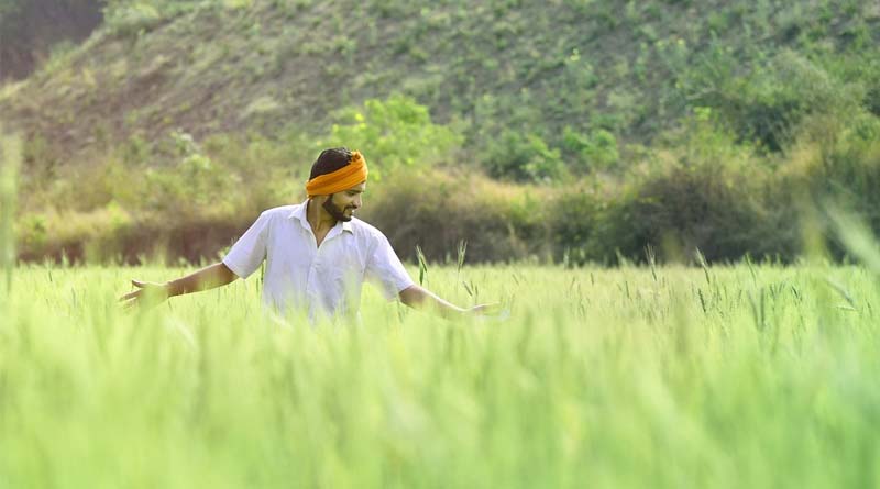 Haryana's Agricultural Renaissance: A Symphony of Farmer Empowerment
