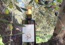 Seipasa collaborates with Acopinb in the production of its organic olive oil for charity
