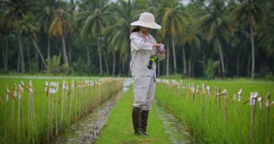 Agrifood systems, the next frontier of climate action need science for fair and equitable solutions