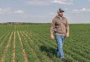 Nufarm launches novel herbicide technology to help farmers turn the tide against challenging weeds in cereals