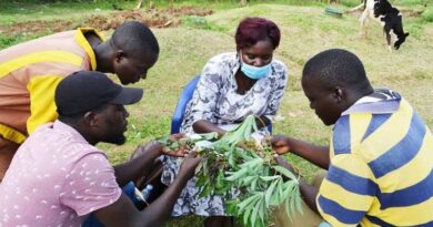 Study highlights how joint clinics can help Kenyan farmers address ‘One Health’ issues