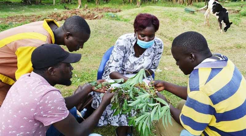 Study highlights how joint clinics can help Kenyan farmers address ‘One Health’ issues