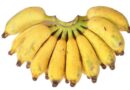 Banana Variety Karpuravalli (ABB)