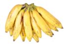 Banana Variety Nendran (AAB)