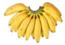 Banana Variety Poovan (AAB)