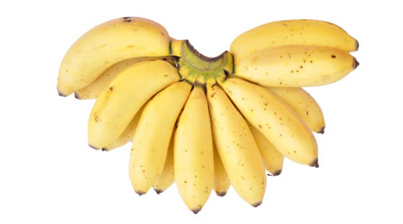 Banana Variety Rasthali (AAB)
