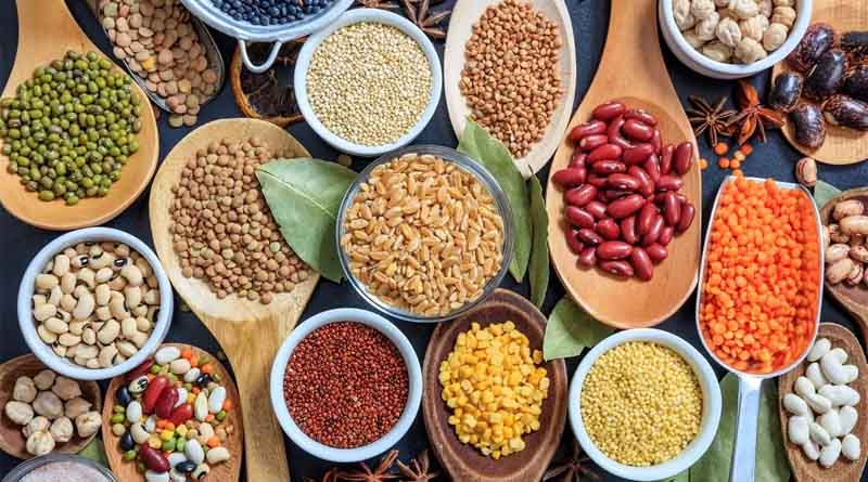 High Yielding Species of Seeds of Pulses