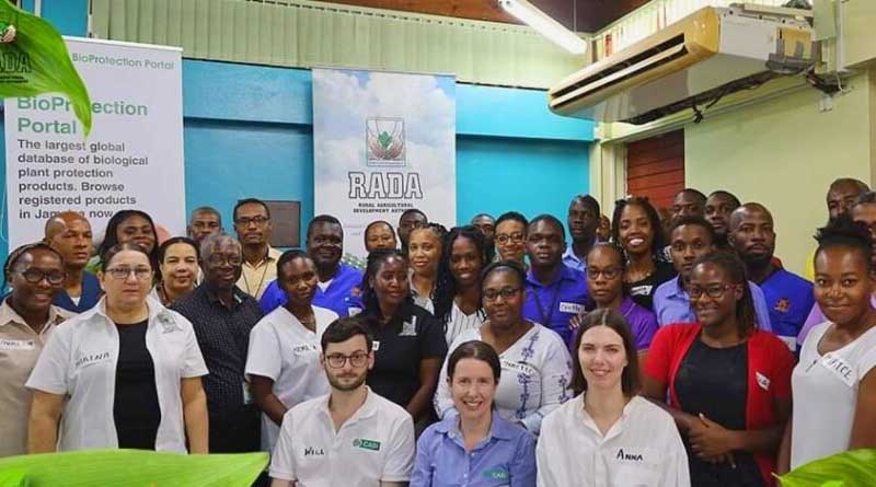 Digital tools workshops empower agriculture stakeholders in Jamaica