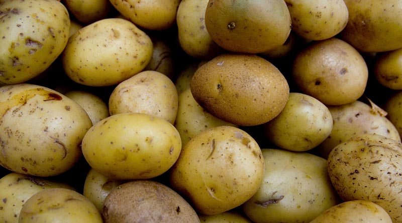 FAO welcomes decision to celebrate International Day of Potato annually on May 30