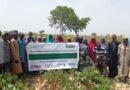 Promoting sustainable and resilient crop-livestock systems in Niger