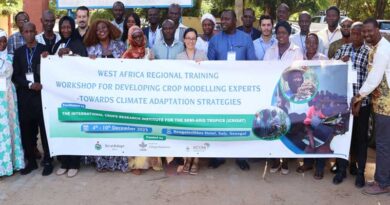 Nurturing Agricultural Resilience: Crop Modelling and Climate Strategies Unveiled at Senegal Workshop