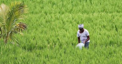 Report on Farmers’ Income
