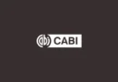 CABI serves up learning lunch for the Bill & Melinda Gates Foundation on benefits of a FAIR Process Framework