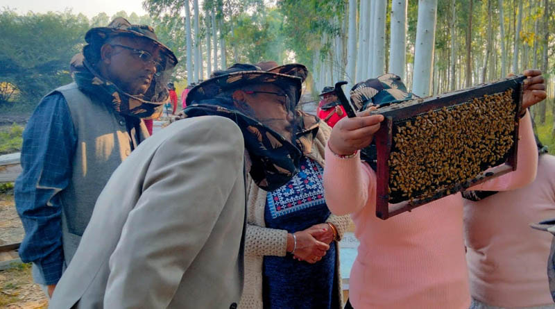 FMC India completes beekeeping training program to educate and empower women farmers in Uttarakhand