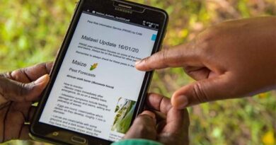 African smallholder farmers benefit from reduced crop losses and higher incomes from a novel pest alert service