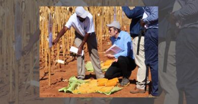 Strengthening seed systems with Zamseed
