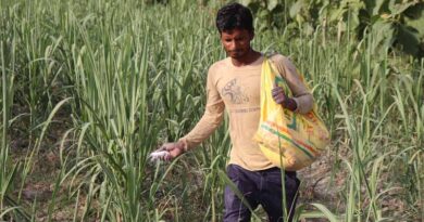 Budget 2024 must lay the foundation for Resilient Agriculture in India