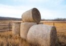 CNH invests in ecofriendly bale storage innovator Nature’s Net Wrap