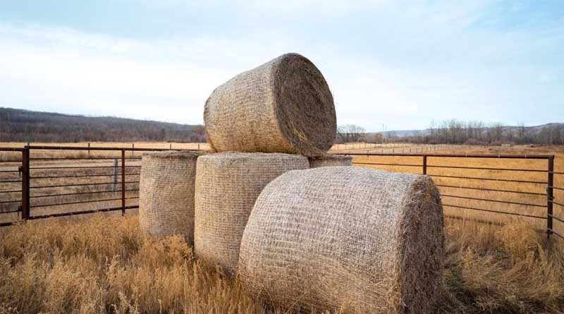CNH invests in ecofriendly bale storage innovator Nature’s Net Wrap