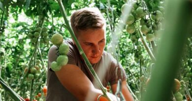 German organic growers tackle challenges by innovating