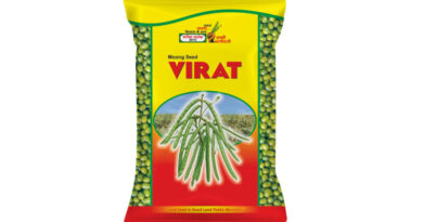 Virat Moong Variety from Shakti Vardhak Hybrid Seeds