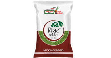 Virat Shakti Moong Variety from Shakti Vardhak Hybrid Seeds