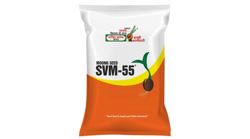 SVM-55 Moong Variety from Shakti Vardhak Hybrid Seeds