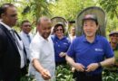 Director-General visits major tea producing factory and Rubber Research Institute of Sri Lanka
