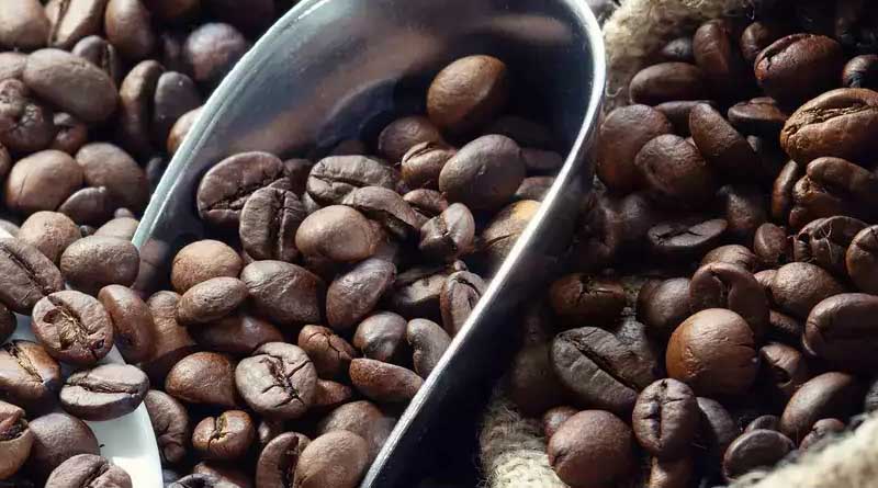 Vietnam's coffee exports doubled in January 2024
