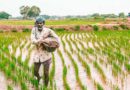 Agri-input industry reacts to Union Budget 2024