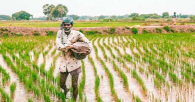 Agri-input industry reacts to Union Budget 2024
