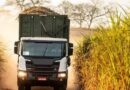 Will There Be Storage and Logistics Problems in Brazilian Agriculture in 2024?