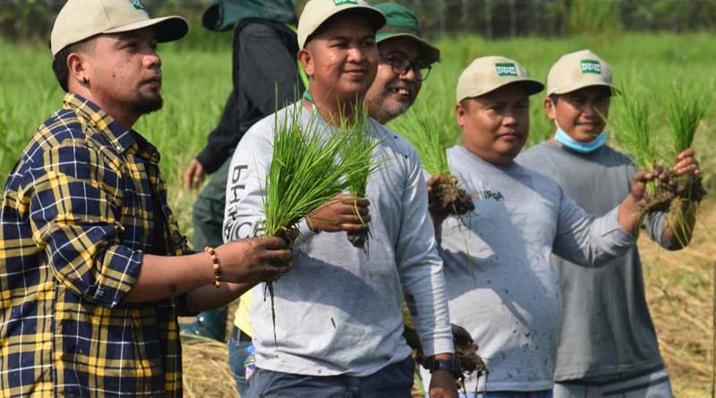 Learning continuity ensured: IRRI turns over the online Rice: Research to Production course to DA