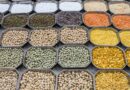 World Pulses Day 2024: Shining the spotlight on the vital role of pulses in promoting soil health and nourishing people