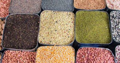 World Pulses Day: Will India become self-sufficient in Pulses?
