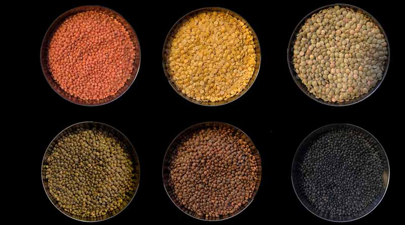 Lentils: The Tiny Giants of Nutrition and Food Security