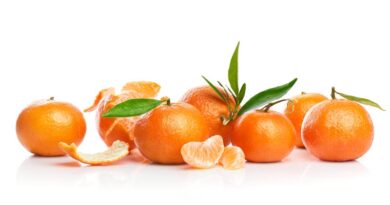 Do you know about the sooty mold problem of citrus?