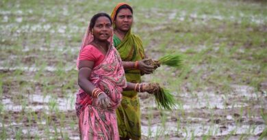 Adapting traditional farming practices like 'Krishi Panchang' for climate-smart agriculture