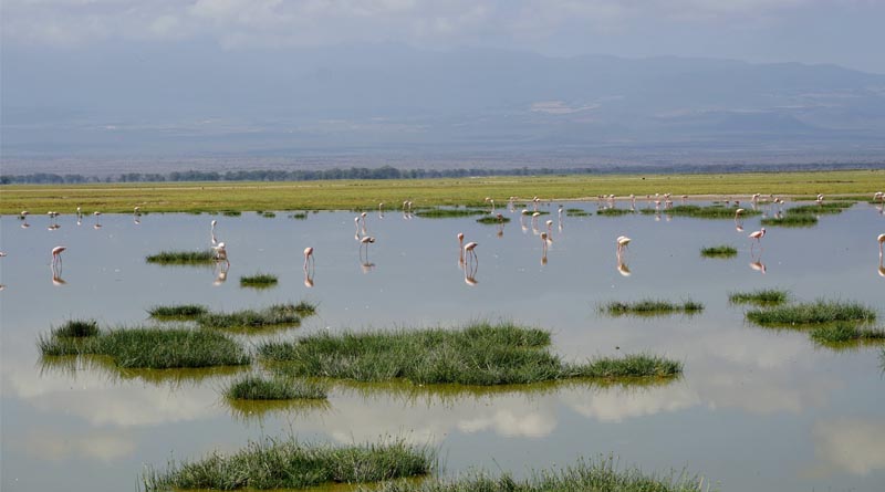 Wetlands crucial for the achievement of sustainable development goals