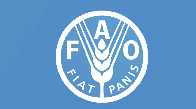 FAO urges more cooperation in banana sector, significant for some least developed and low-income food-deficit countries and smallholder farmers