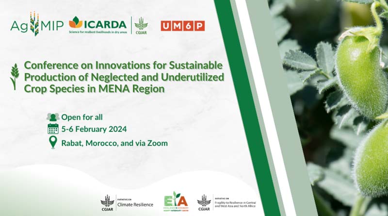Conference on innovations for sustainable production of neglected and underutilized crop species in MENA region