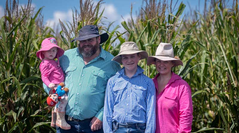 2024 Foundation Farm field days a hit with growers and agronomists
