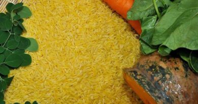 Bangladesh still stuck in the past as locally grown Golden Rice hits markets in the Philippines