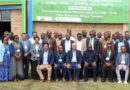 IRRI and AfricaRice collaborate on developing and delivering improved and localized rice varieties to smallholder farmers in Africa