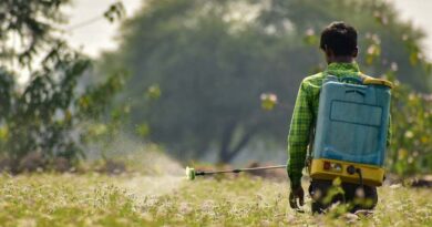 Key milestone reached in ongoing efforts to enhance regulatory harmonization of pesticides in Philippines